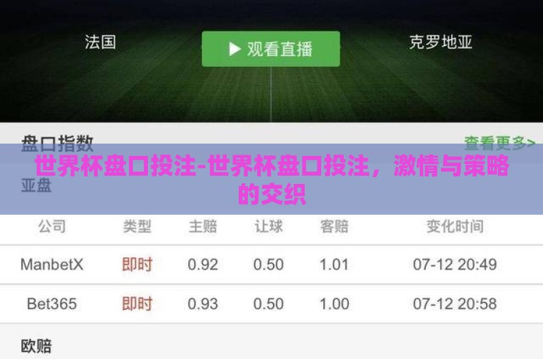 世界杯盘口投注-世界杯盘口投注，激情与策略的交织