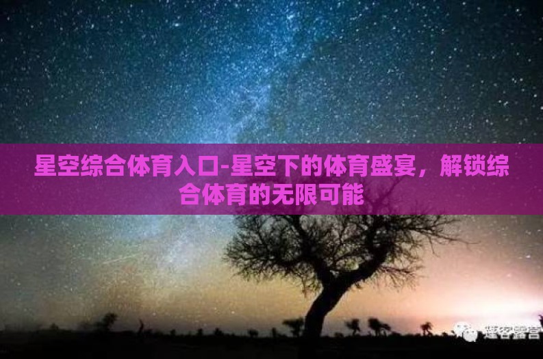 星空综合体育入口-星空下的体育盛宴，解锁综合体育的无限可能