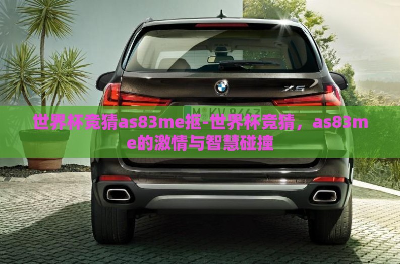 世界杯竞猜as83me抠-世界杯竞猜，as83me的激情与智慧碰撞