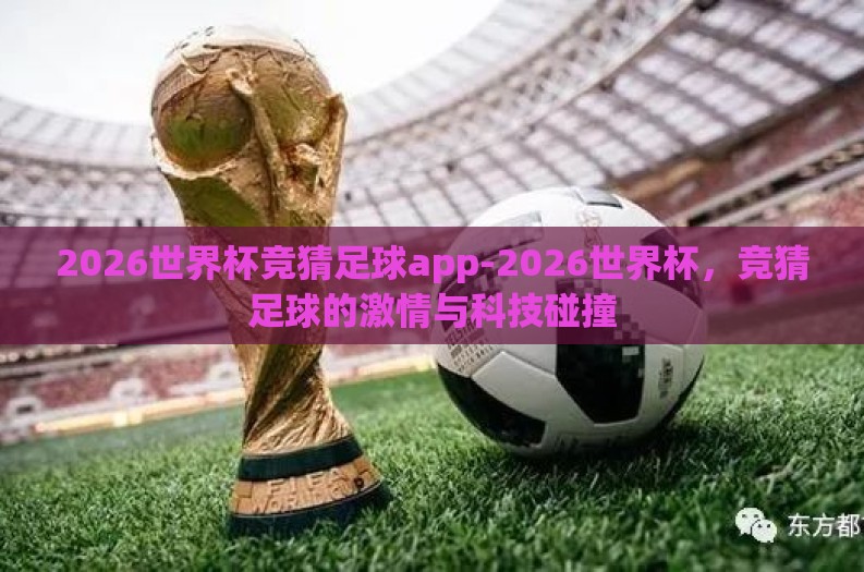 2026世界杯竞猜足球app-2026世界杯，竞猜足球的激情与科技碰撞