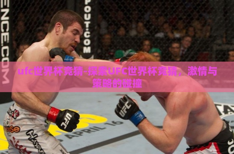 ufc世界杯竞猜-探索UFC世界杯竞猜，激情与策略的碰撞