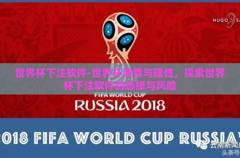 世界杯下注软件-世界杯激情与理性，探索世界杯下注软件的选择与风险