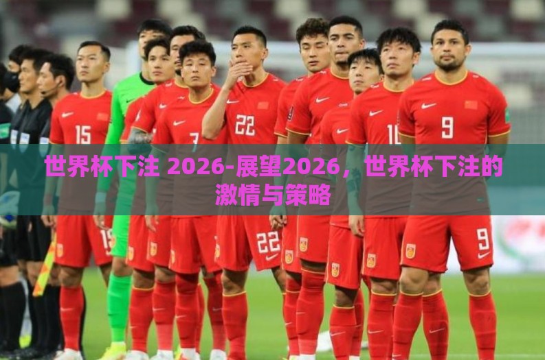 世界杯下注 2026-展望2026，世界杯下注的激情与策略