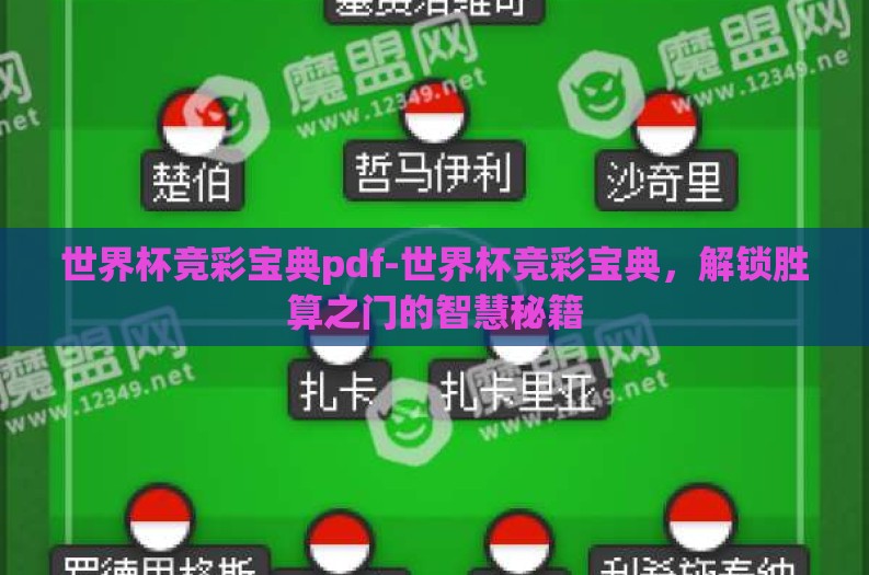 世界杯竞彩宝典pdf-世界杯竞彩宝典，解锁胜算之门的智慧秘籍