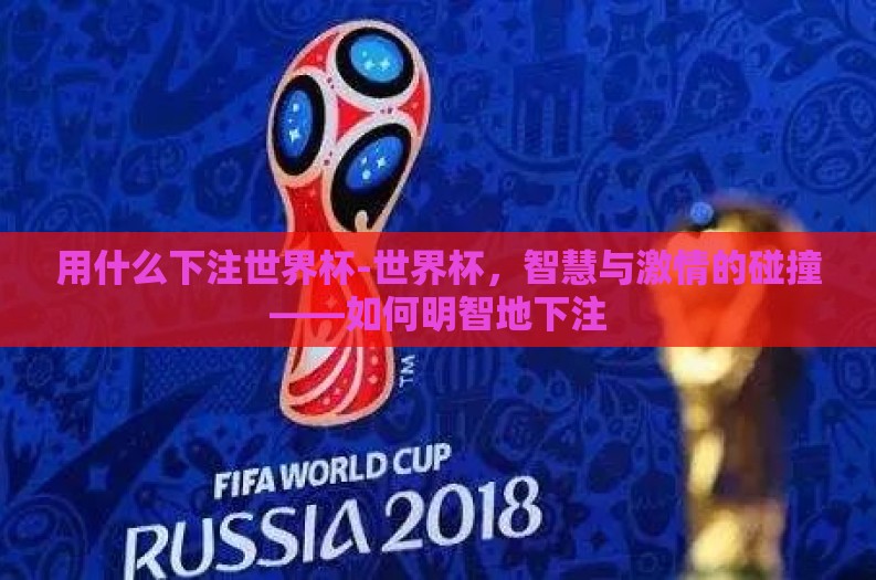 用什么下注世界杯-世界杯，智慧与激情的碰撞——如何明智地下注