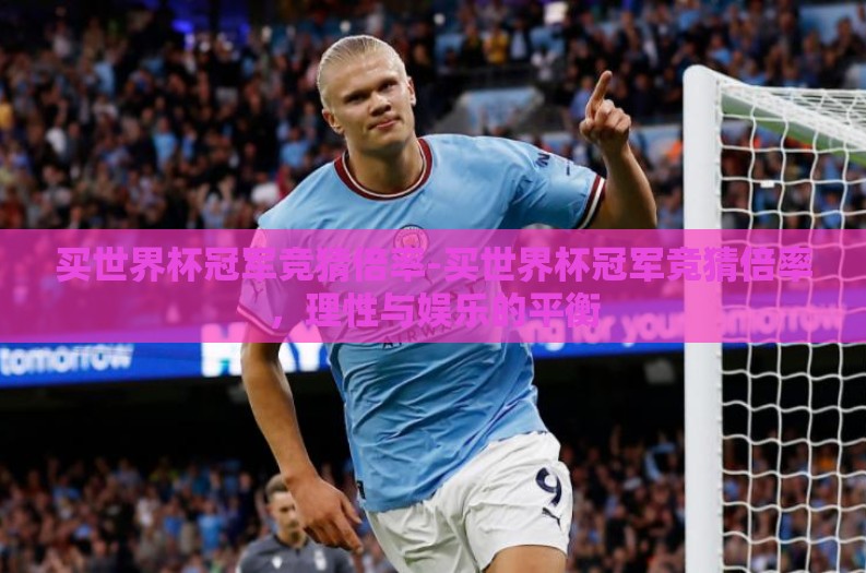 买世界杯冠军竞猜倍率-买世界杯冠军竞猜倍率，理性与娱乐的平衡