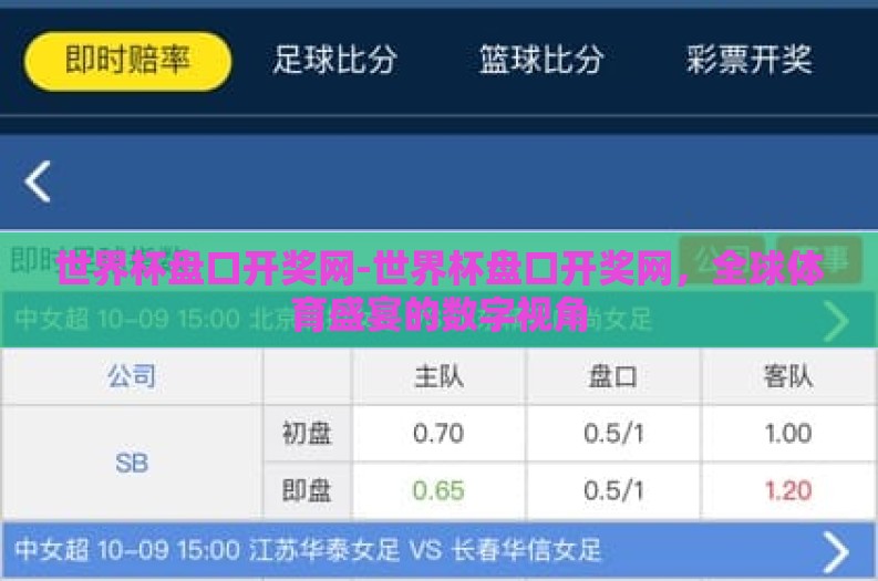 世界杯盘口开奖网-世界杯盘口开奖网，全球体育盛宴的数字视角