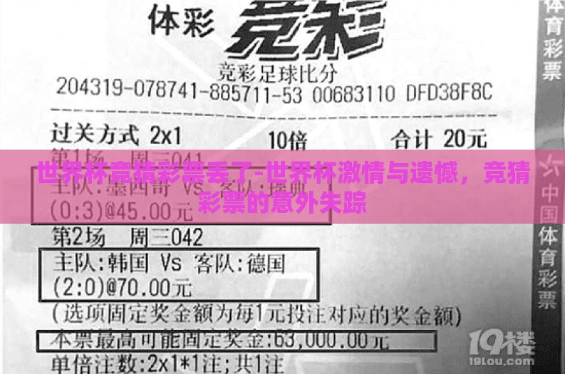 世界杯竞猜彩票丢了-世界杯激情与遗憾，竞猜彩票的意外失踪