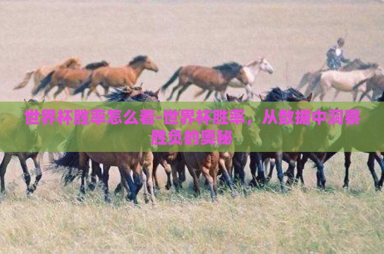 世界杯胜率怎么看-世界杯胜率，从数据中洞察胜负的奥秘