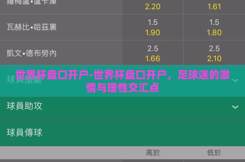世界杯盘口开户-世界杯盘口开户，足球迷的激情与理性交汇点