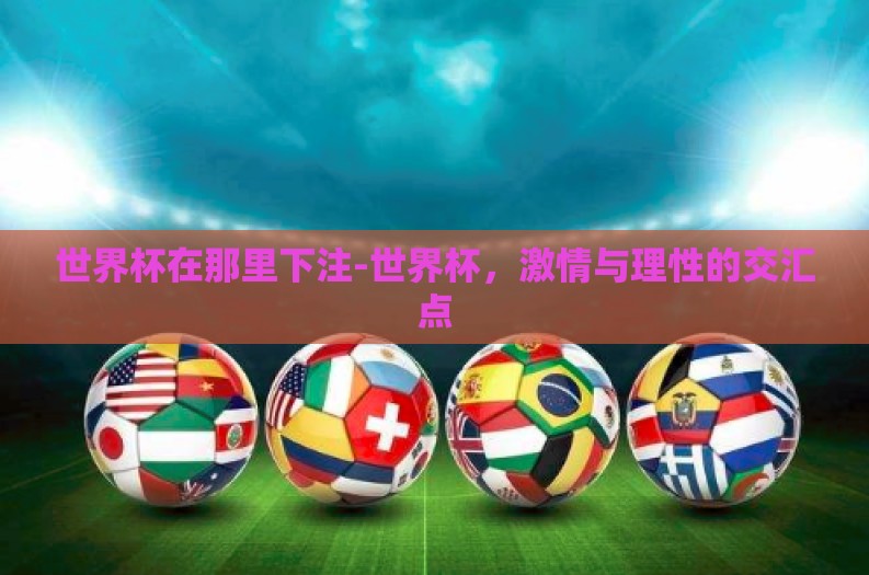 世界杯在那里下注-世界杯，激情与理性的交汇点