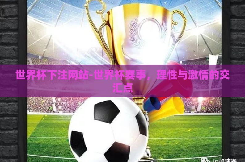 世界杯下注网站-世界杯赛事，理性与激情的交汇点